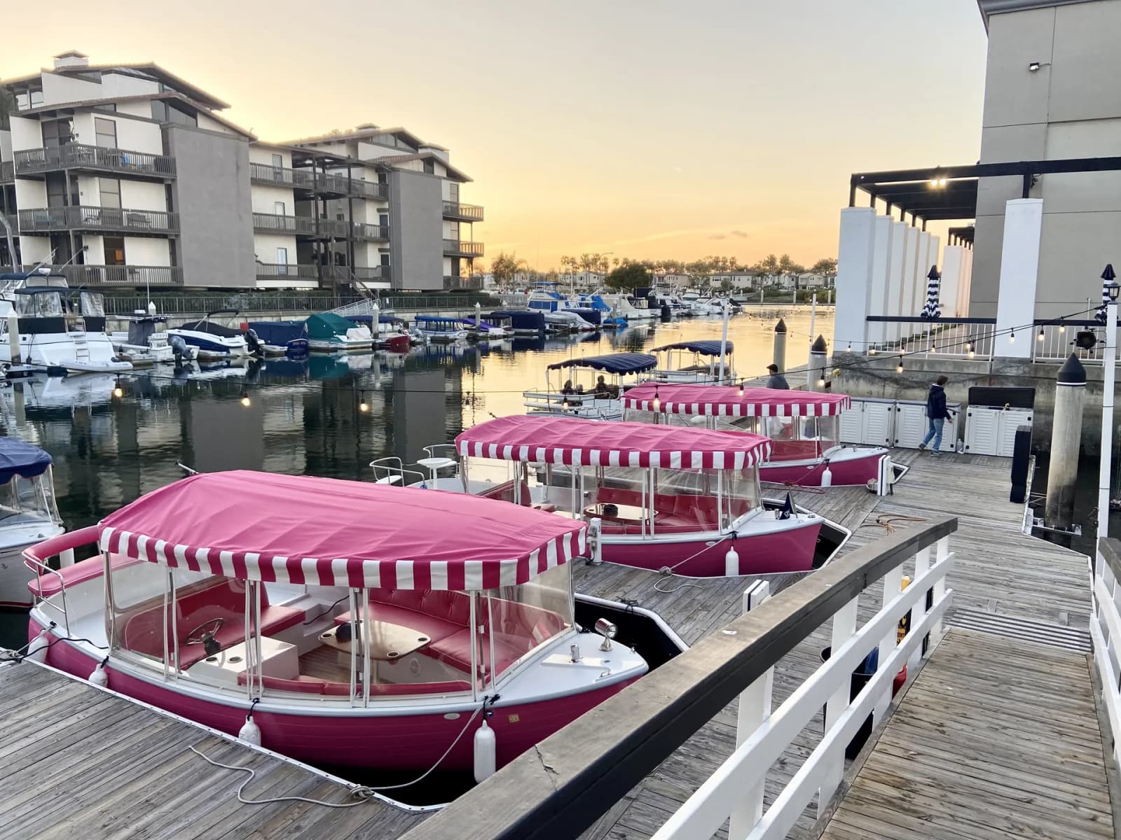 Pink Duffy boats at the dock at golden hour, the marina behind