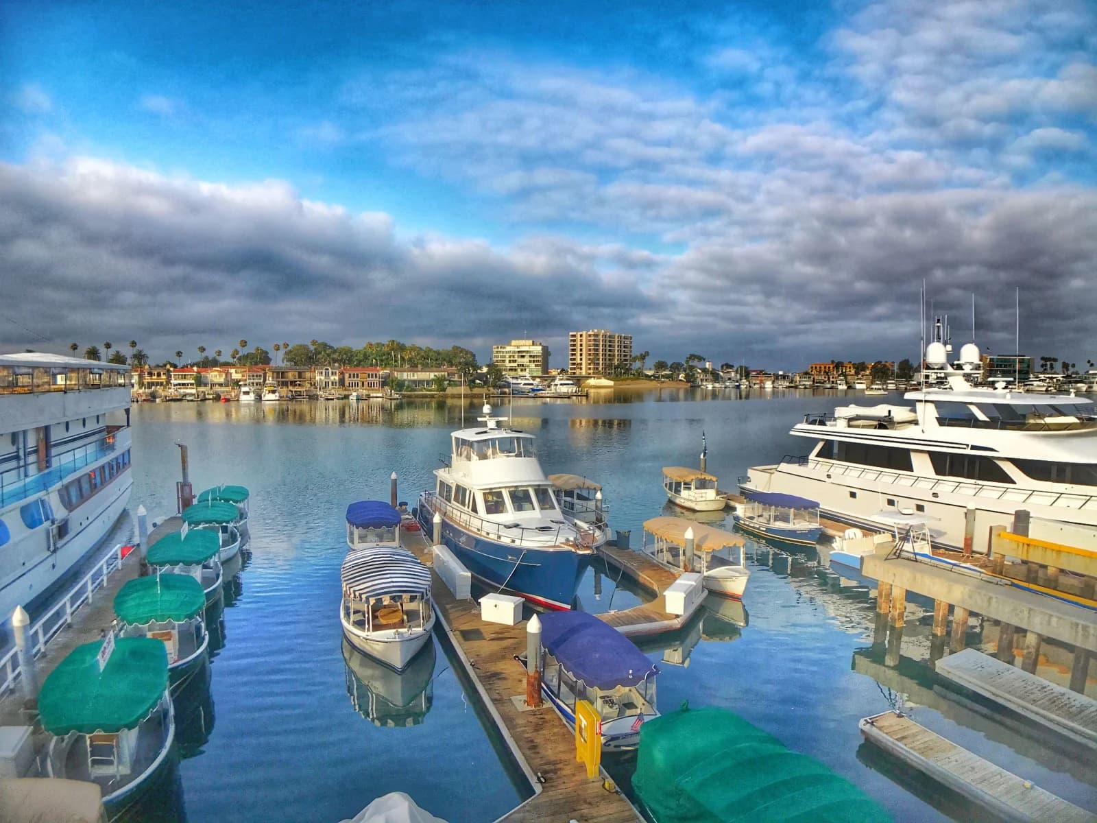 The Anchors Away Duffy fleet at the docks on Alamitos Bay, seen from above